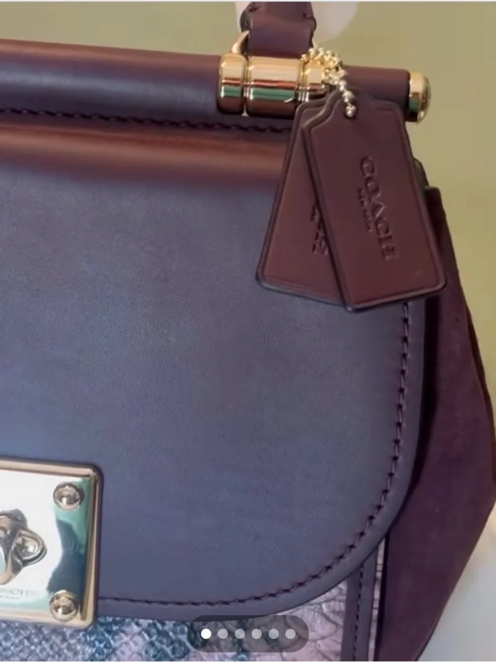 Coach Plum Leather Top-Handle Satchel with Pink Python Accent and Gold Hardware
